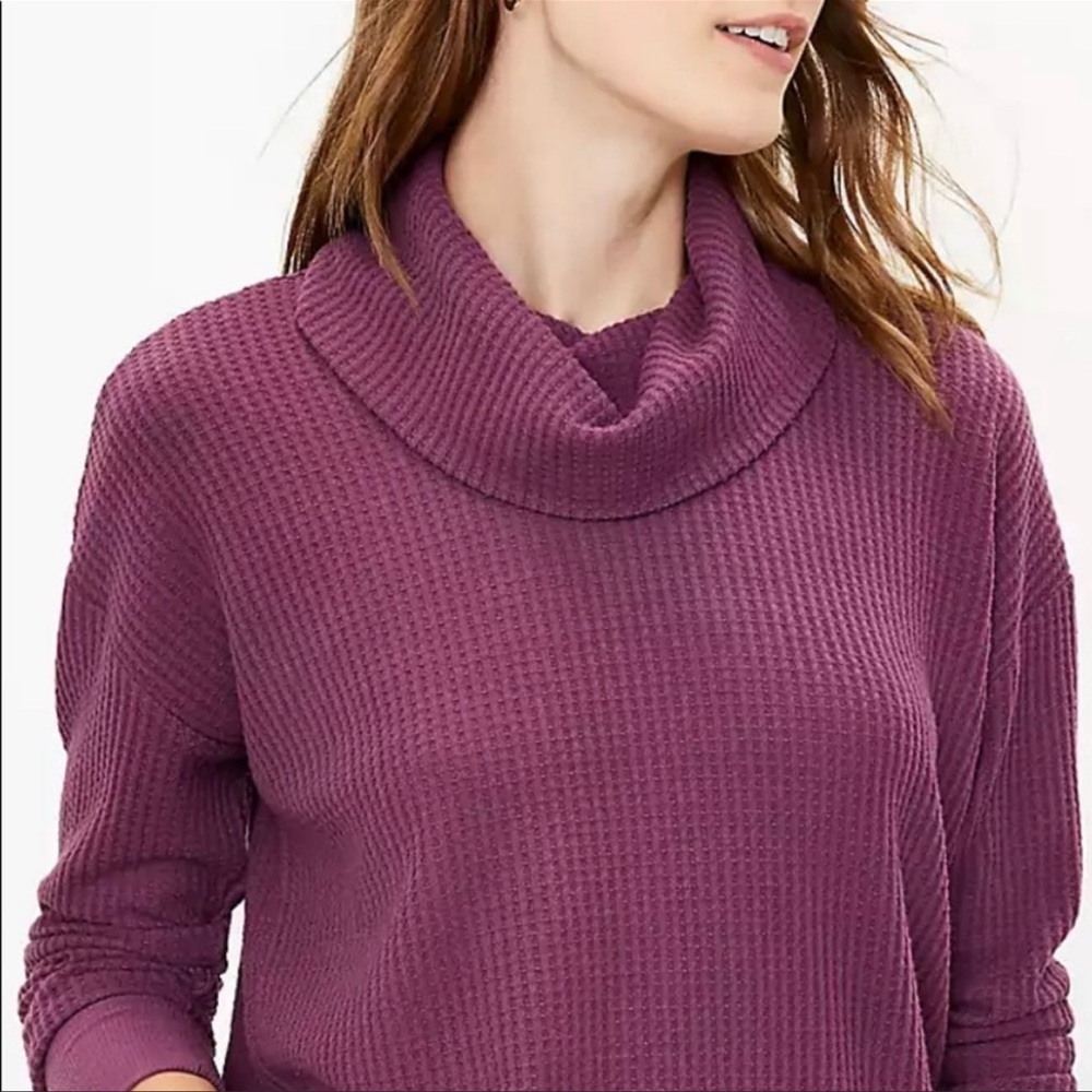 Loft Waffle Knit Cowl Neck Tunic